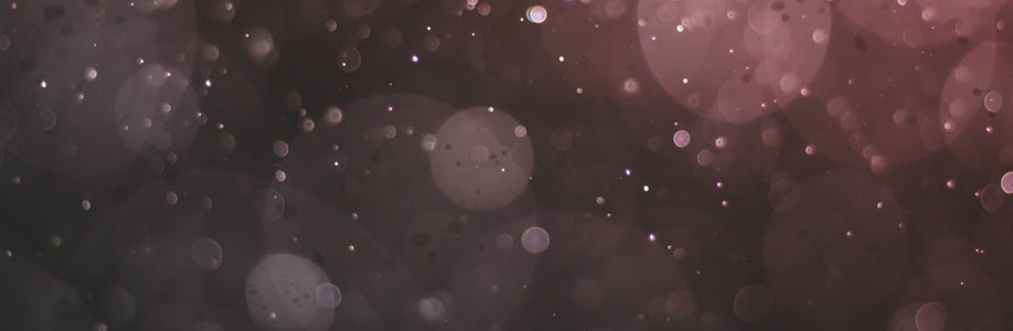 shayna41633957 Cover Image